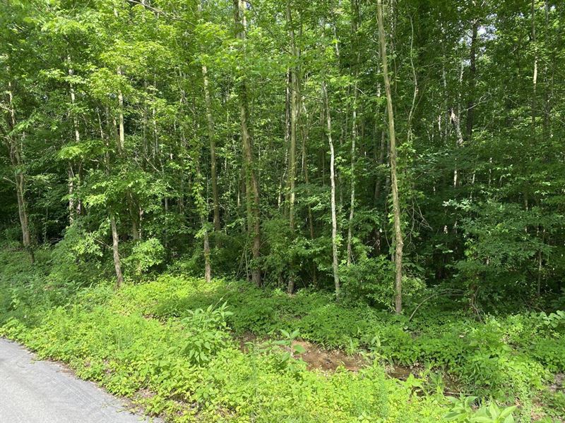 Residential Lot for Sale in Wappape : Wappapello : Wayne County : Missouri