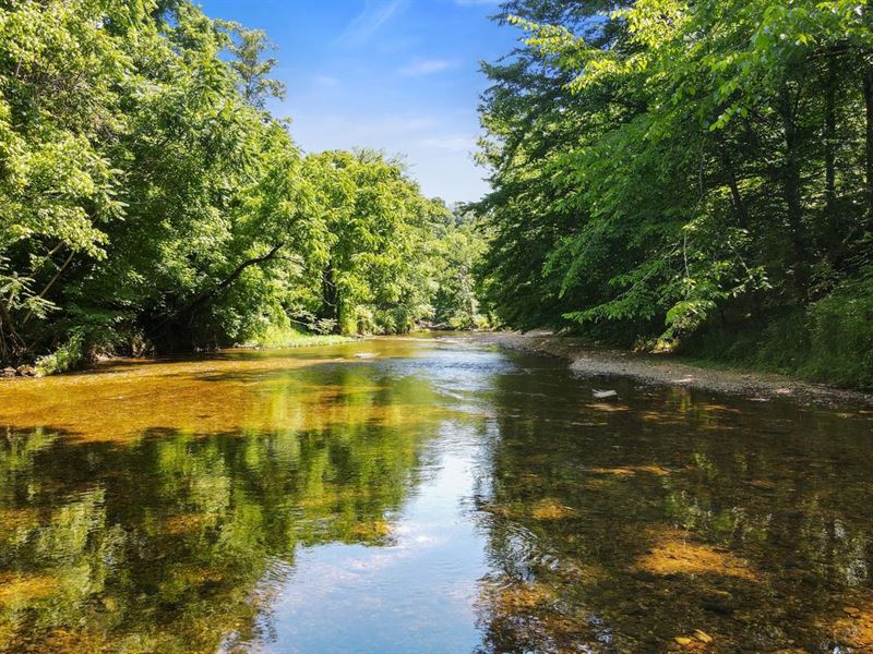168 Acres Located in Macon Coun : Lafayette : Macon County : Tennessee