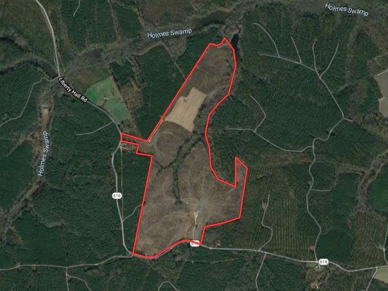 187 Acres of Timb : King And Queen Court House : King And Queen County : Virginia