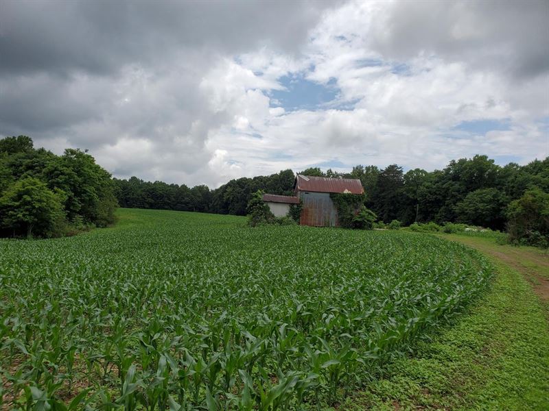 194 Acres, Ararat NC Land for Sale in Ararat, Surry County, North