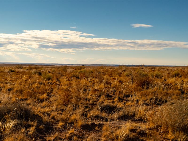 Over 4 Ac Near The Petrified Forest : Holbrook : Apache County : Arizona