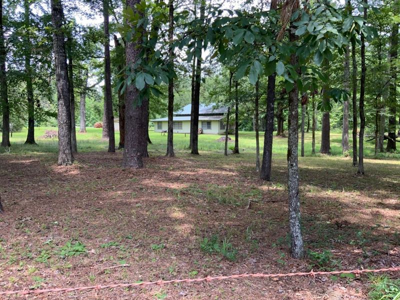 Caney Creek Tract, Winn Parish, 82 : Dodson : Winn Parish : Louisiana