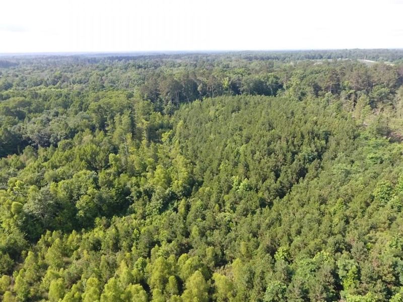Hermitage 30 : Hermitage : Bradley County : Arkansas