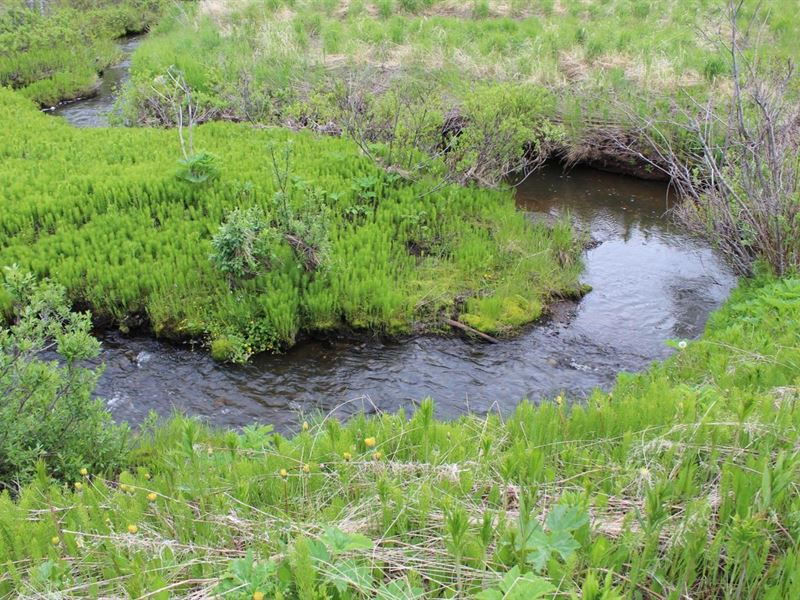 4.77 Happy Creek View Parcel : Ninilchik : Kenai Peninsula Borough : Alaska