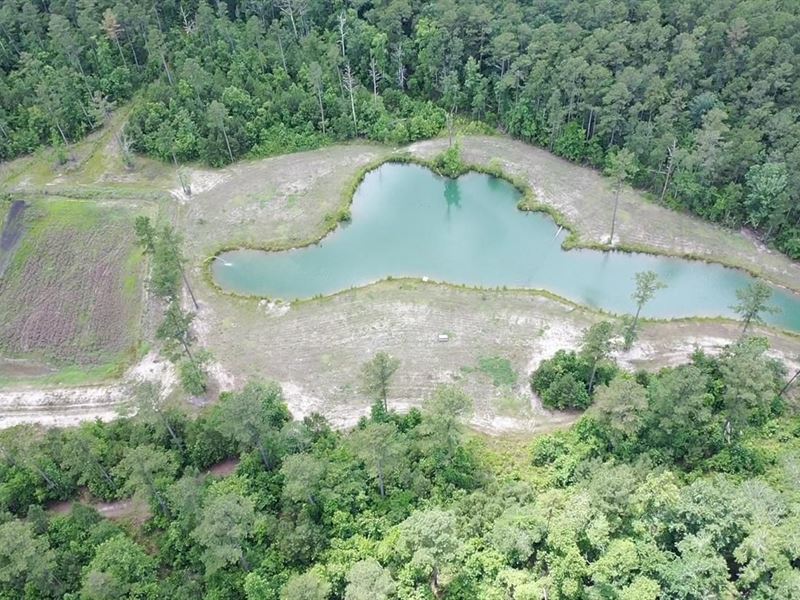 166 Acres in Burgaw, Pender Coun : Burgaw : Pender County : North Carolina