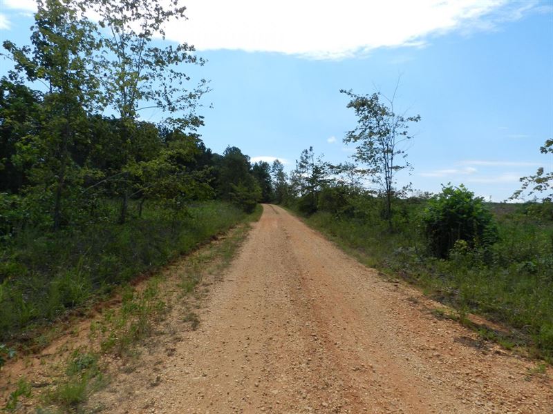 612 Acres, Hamilton, Alabama : Hamilton : Marion County : Alabama