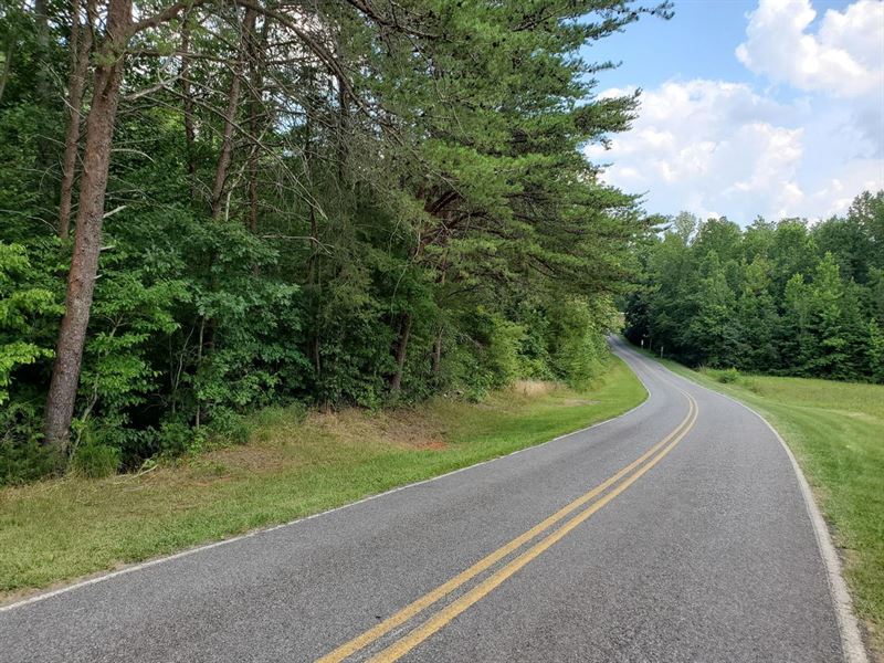 75.94 Acres in Vale, Lincoln Cou : Vale : Lincoln County : North Carolina