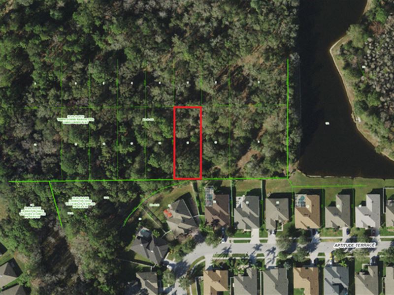 homes for sale by owner wesley chapel fl