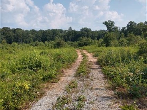 Creekfront Homesite : Zebulon : Pike County : Georgia