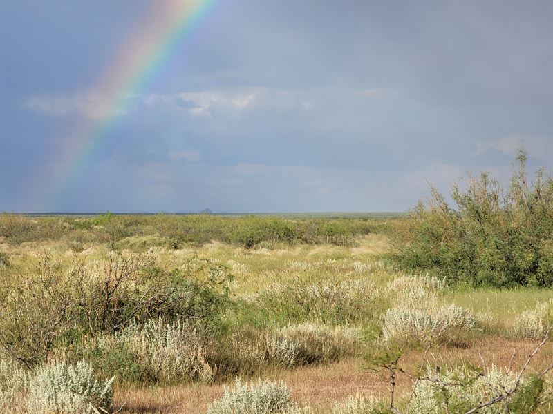 2 Acres of Solace, Only $99 Monthly : Deming : Luna County : New Mexico