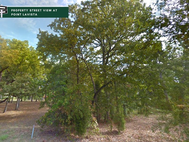 .25 Acre Gem in Tx, Close to Lake : Malakoff : Henderson County : Texas