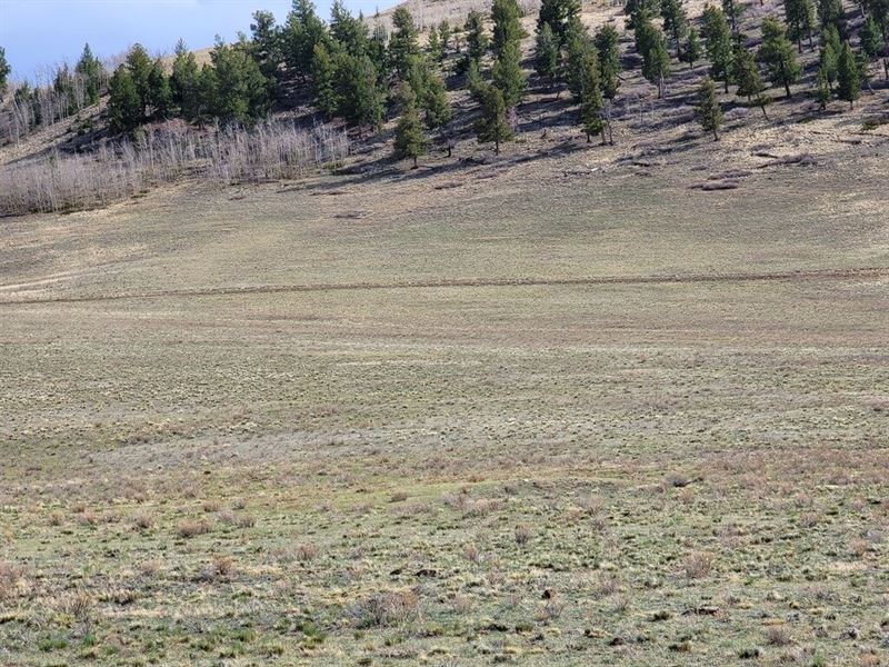 Awesome Sceneries, Financing : Hartsel : Park County : Colorado