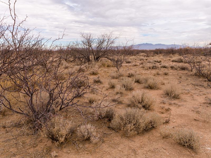 Arizona Sun Sites is Calling You : Cochise : Cochise County : Arizona