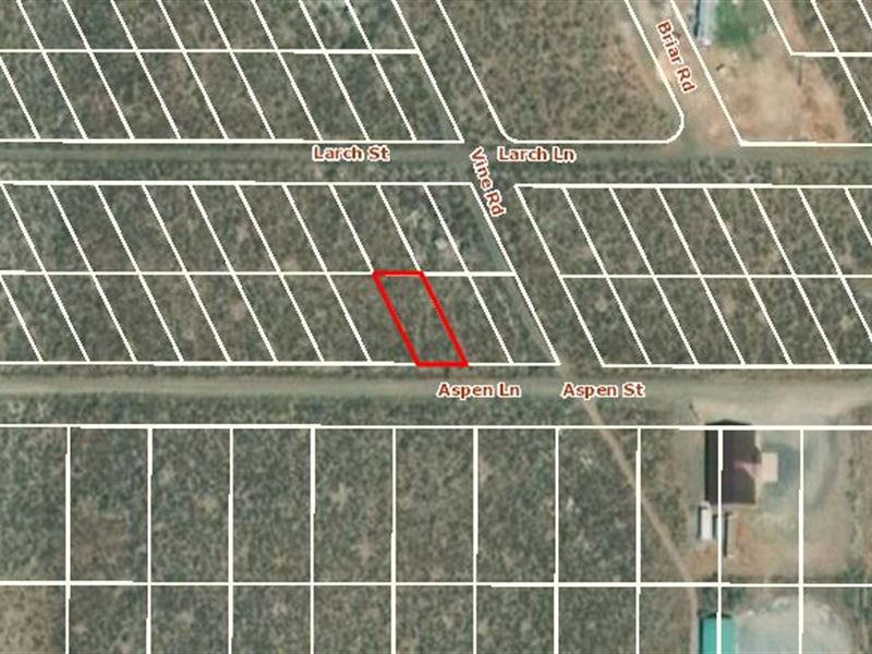.1 Acre Lake County, Oregon : Silver Lake : Lake County : Oregon
