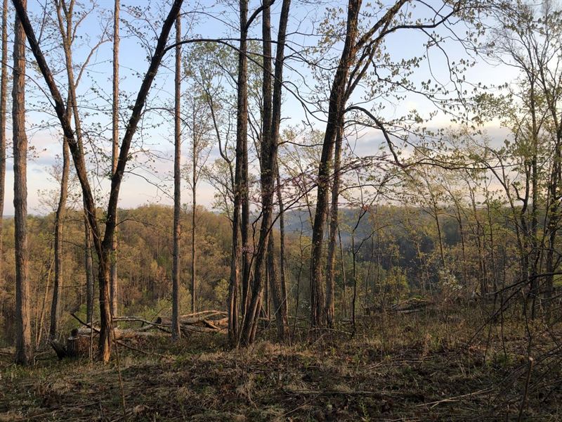 Mill Branch Tract : Branchland : Lincoln County : West Virginia