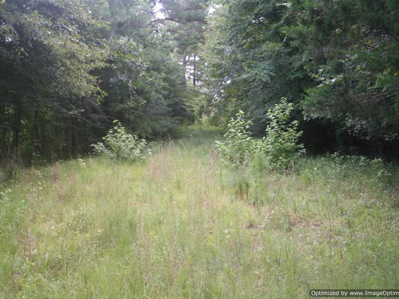 Rural Land in Rankin County, MS : Florence : Rankin County : Mississippi