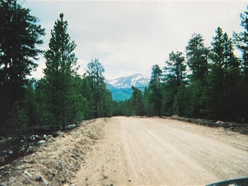 CO Mtn Property Near Twin Lakes : Twin Lakes : Lake County : Colorado