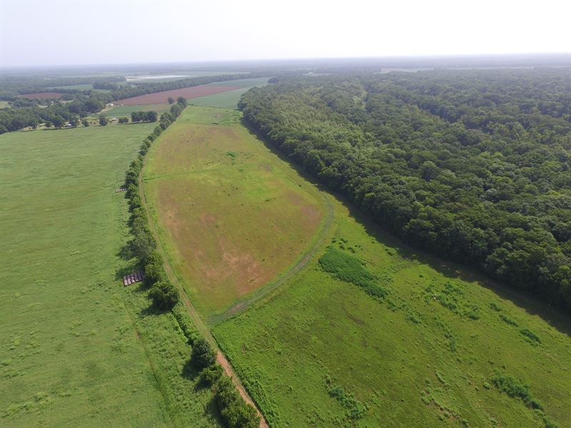 Avoyelles Parish Hunting Land : Hamburg : Avoyelles Parish : Louisiana