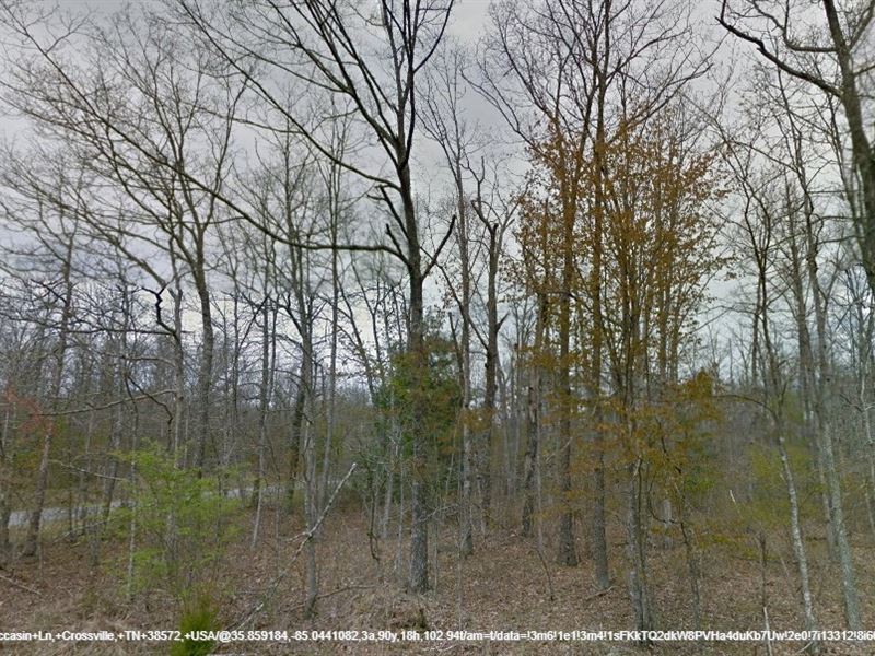 Brand New Lot in Lake Tansi : Crossville : Cumberland County : Tennessee