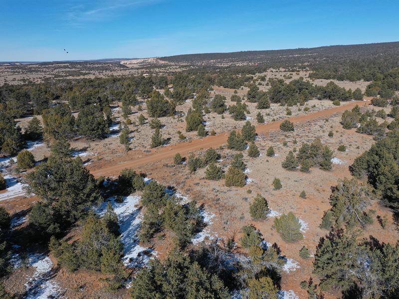 2 Acre in Pine Meadow Ranch : Ramah : Cibola County : New Mexico