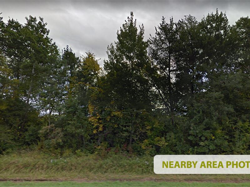Tiny House Ready in Wilderness Park : Meadow Brook : Cass County : Minnesota
