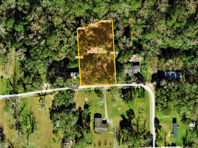 Rural Living in The Town : Monticello : Jefferson County : Florida
