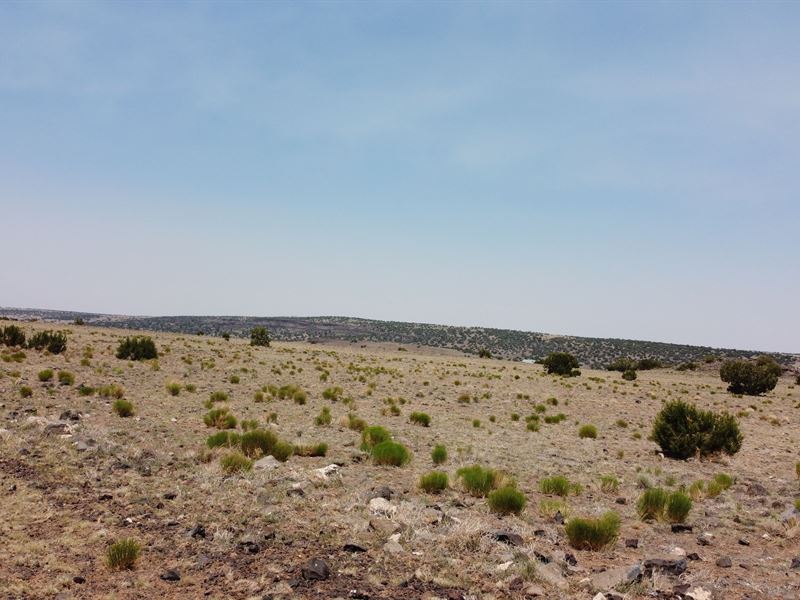 3.15 Acres in Rural Concho Valley : Concho : Apache County : Arizona