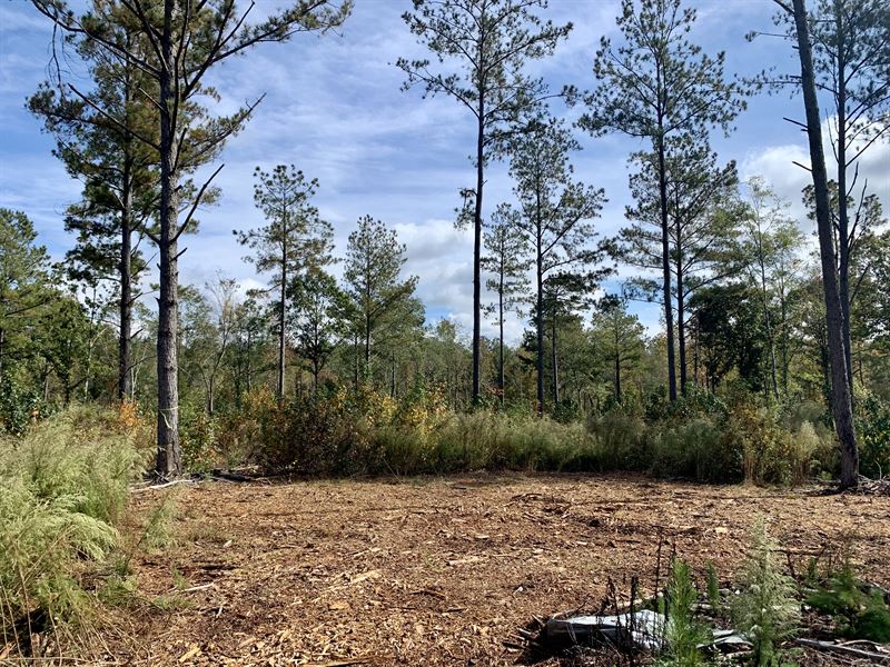 Great Homesite in a Great Area : Danielsville : Madison County : Georgia