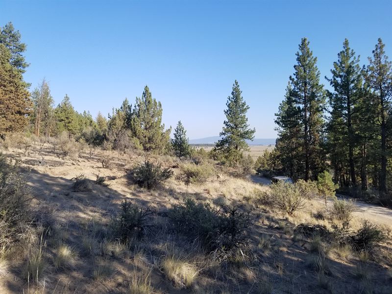 Suns Out, Guns Out : Chiloquin : Klamath County : Oregon