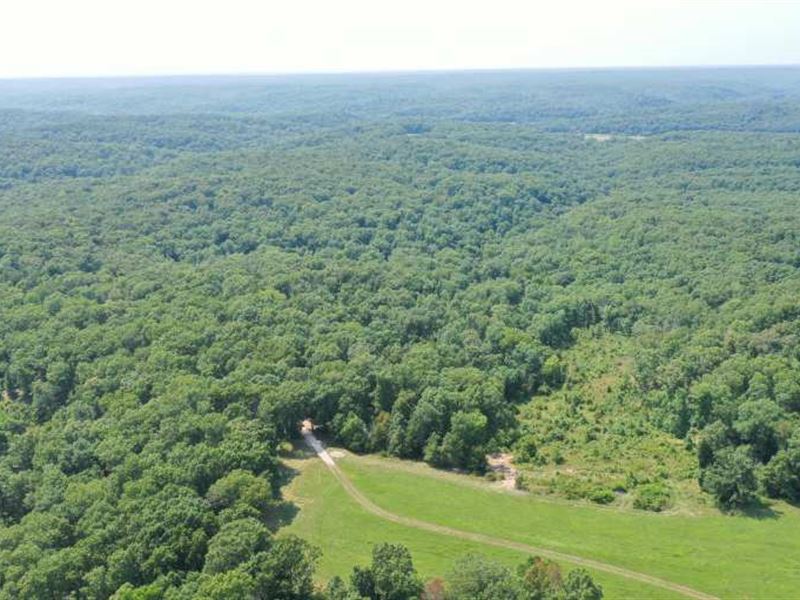 Great 125.8 Acre Farm Super Hunting : Stover : Morgan County : Missouri