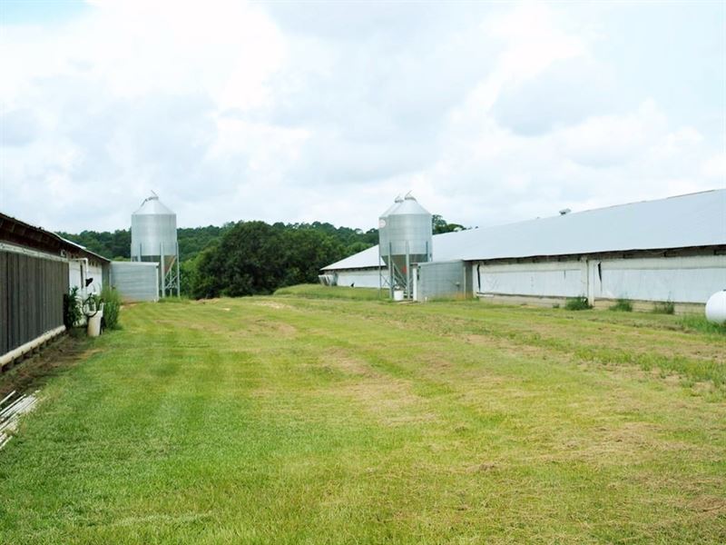 6 House Broiler Poultry Farm 41 Acr : Seminary : Covington County : Mississippi