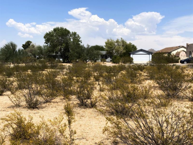 Premiere Rte 66 Area, $199/Mo : Kingman : Mohave County : Arizona