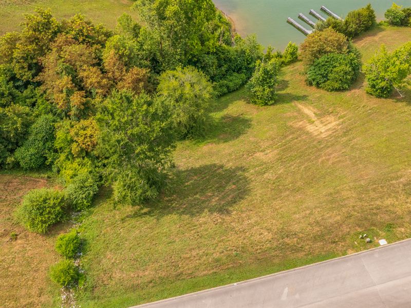 Lakefront Lot, Shared Dock : Russellville : Hamblen County : Tennessee