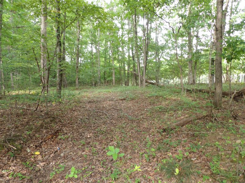 Private, Level, Utilities at Road : Spring City : Bledsoe County : Tennessee