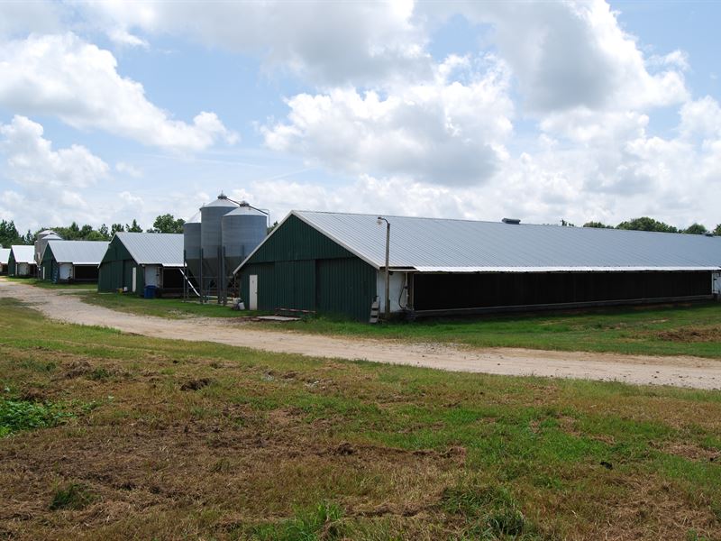 Broiler Farm, 6 Houses, Updated : Butler : Taylor County : Georgia