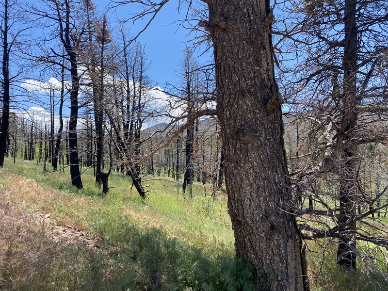 Forbes Park with Power : Fort Garland : Costilla County : Colorado