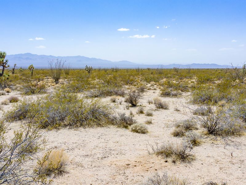 40 Fenced Acres, Stagecoach Trails : Lake Havasu City : Mohave County : Arizona