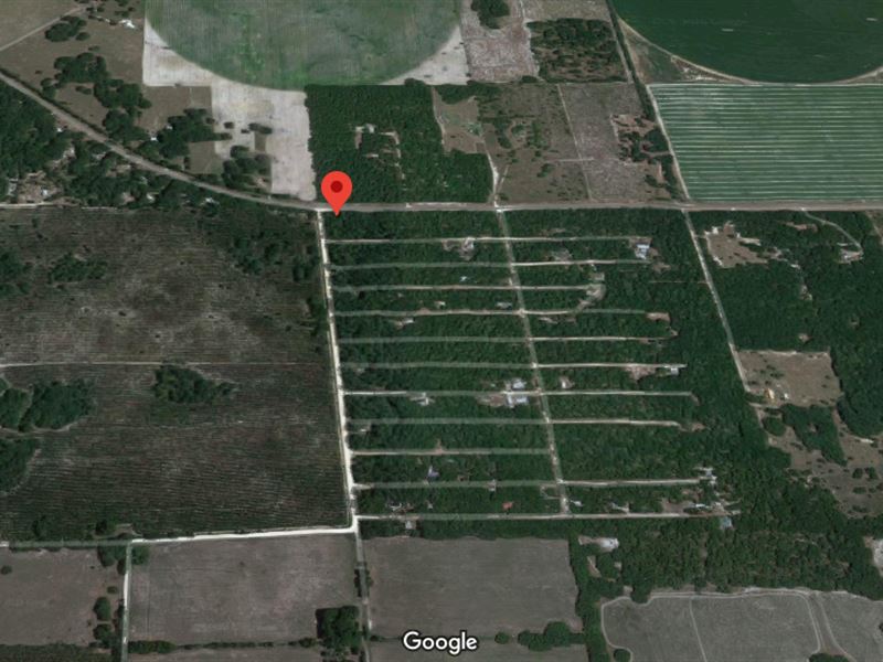.03 Acres for Sale in Chiefland, FL : Chiefland : Levy County : Florida