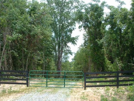 253 Acres : Roberta : Crawford County : Georgia