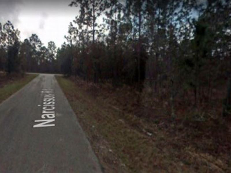 Build Your Forever Home : Dunnellon : Marion County : Florida