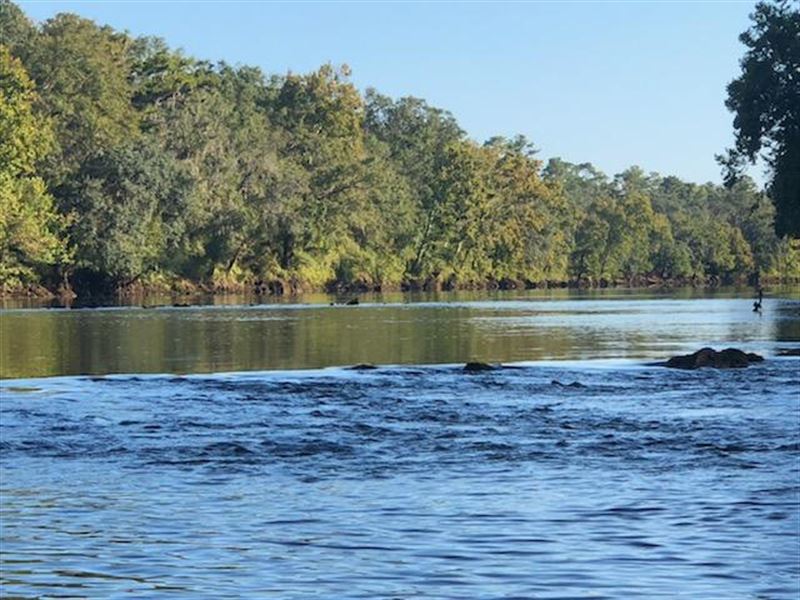 Beautiful Flint River Property : Baconton : Mitchell County : Georgia