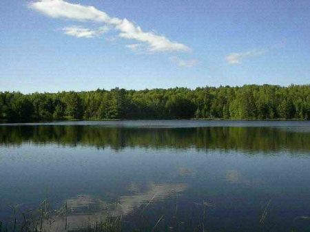 Lot F Estes Lake Rd : Duncan : Houghton County : Michigan
