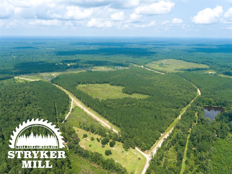 13 Acres T-1 Stryker Mill : Corrigan : Polk County : Texas