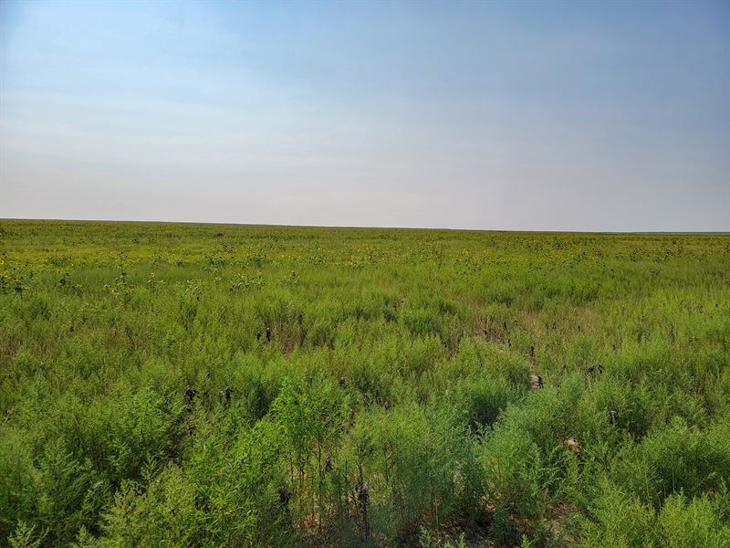 Claypool Farm, Listed in 5 Tracts : Eads : Kiowa County : Colorado
