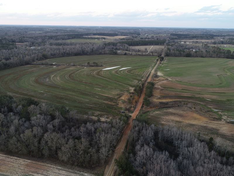 Productive Ag Land : Cottonwood : Houston County : Alabama