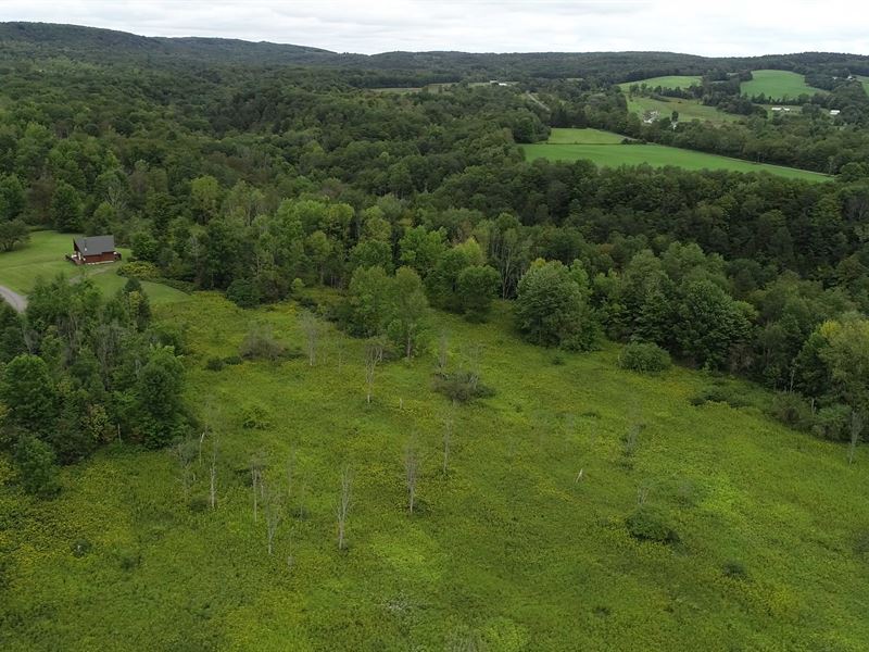 Building Lot with Deeded Frontage : Schuyler : Herkimer County : New York