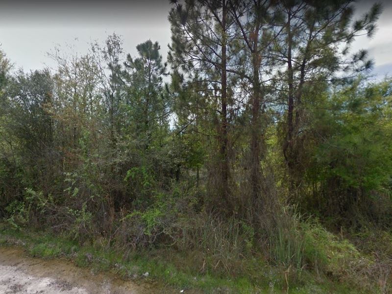 2.07 Acre Lot in Old Town : Old Town : Dixie County : Florida