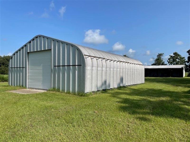 Gorgeous Property : Live Oak : Suwannee County : Florida