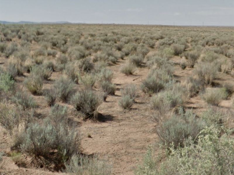 Cheap Off Grid New Mexico Lot $950 : Belen : Valencia County : New Mexico