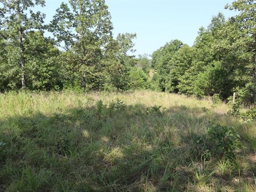 Hunting Land for Sale in Salem, AR : Salem : Fulton County : Arkansas